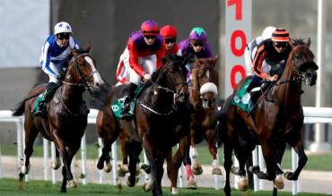 latest horse racing betting